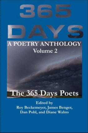 Front Cover 365 Days Vol 2