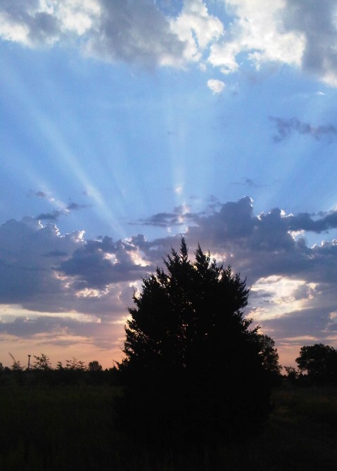 Kansas Sunrise