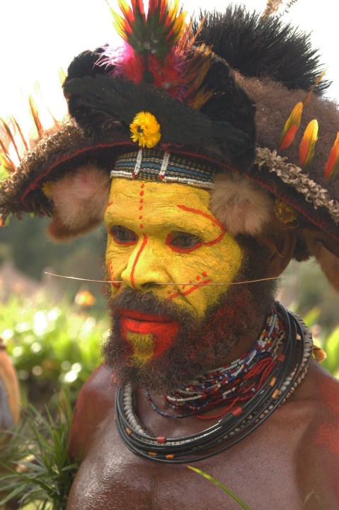 New Guinea Huli Wig-man Dancer 2007 RJB