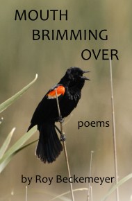 Mouth Brimming Over Front Cover