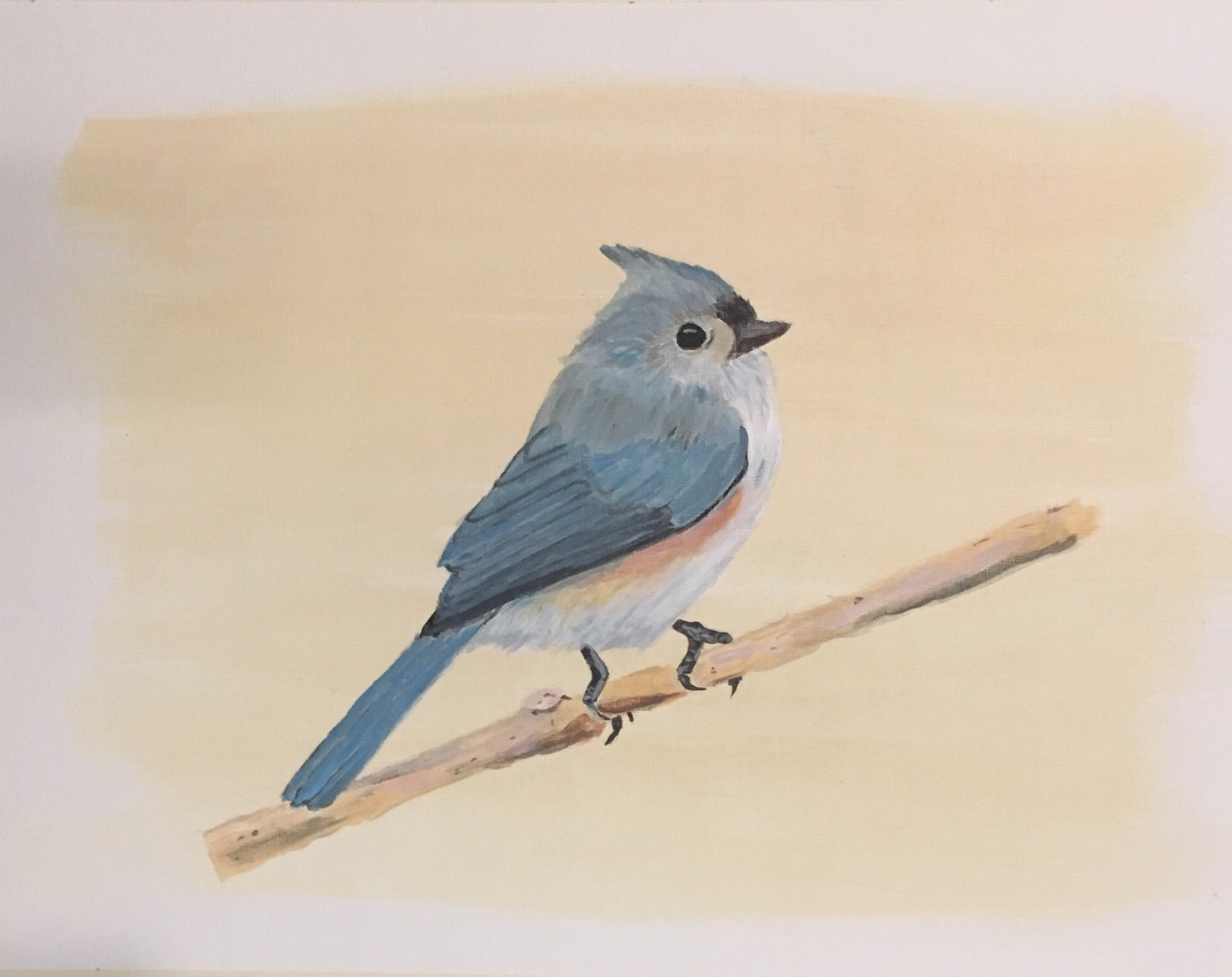 Tufted Titmouse - Acrylic Roy Beckemeyer
